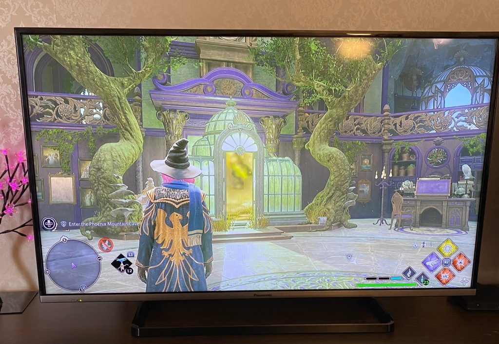 Image of gaming session of Hogwarts Legacy