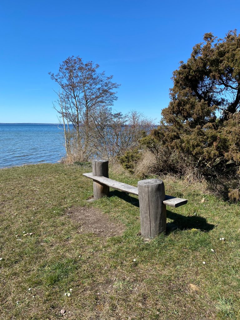 Mindful moments on a bench